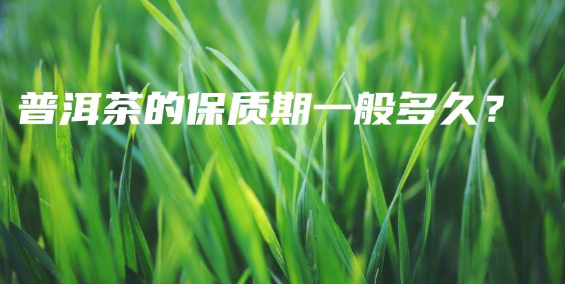普洱茶的保质期一般多久？插图