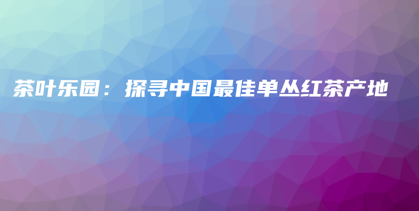 茶叶乐园：探寻中国最佳单丛红茶产地插图