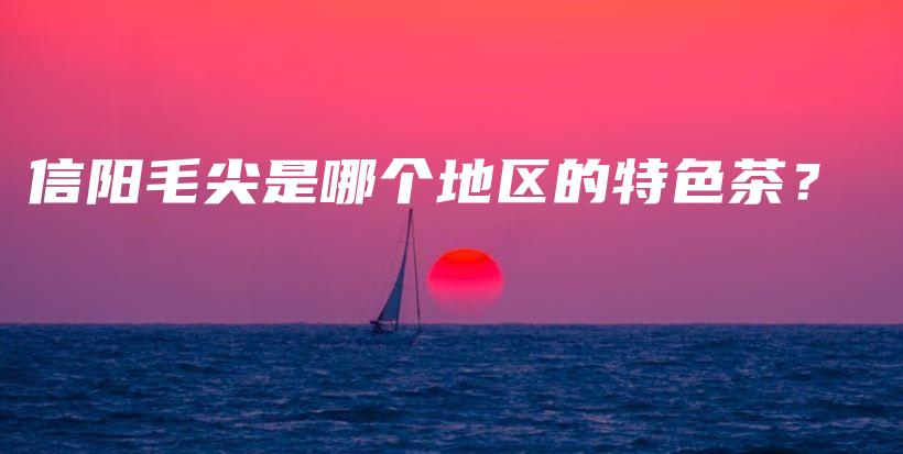 信阳毛尖是哪个地区的特色茶？插图