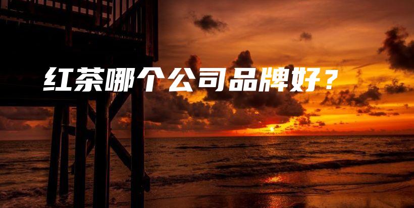 红茶哪个公司品牌好？插图