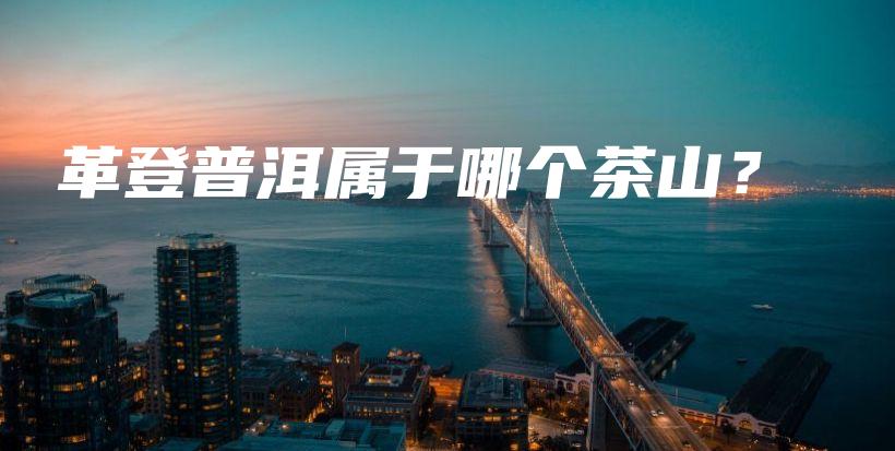 革登普洱属于哪个茶山？插图