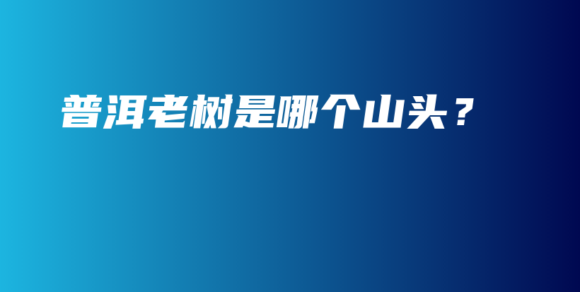普洱老树是哪个山头？插图