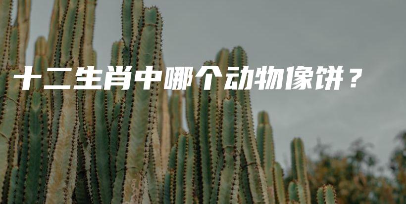 十二生肖中哪个动物像饼？插图