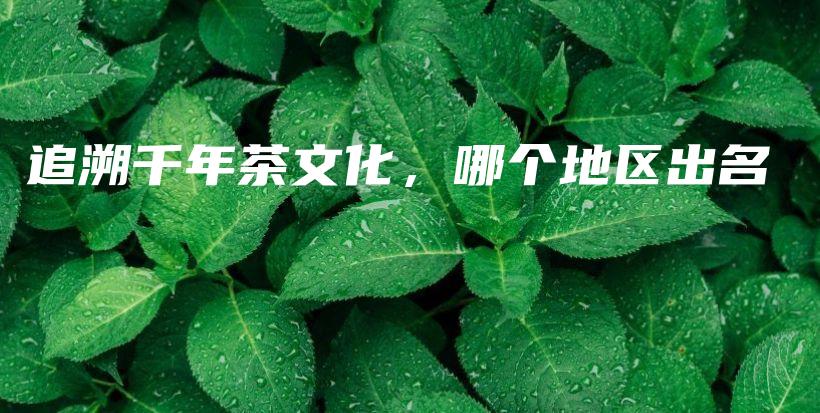 追溯千年茶文化，哪个地区出名插图