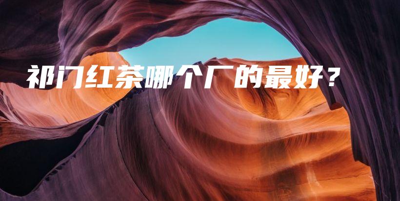 祁门红茶哪个厂的最好？插图