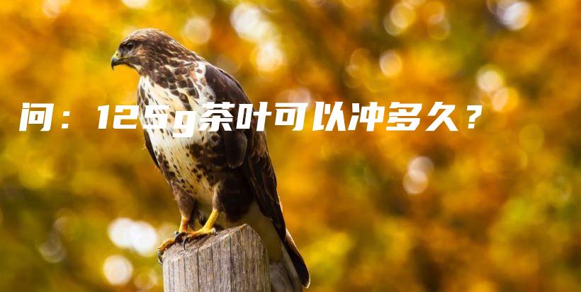 问：125g茶叶可以冲多久？插图