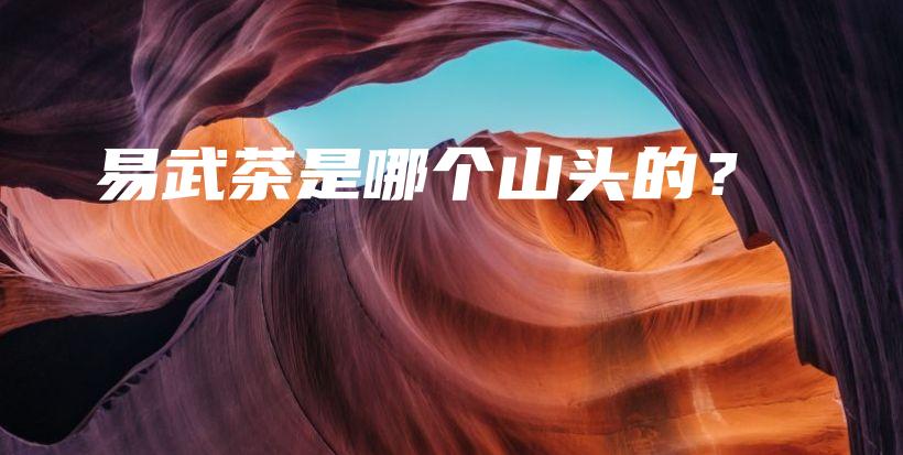 易武茶是哪个山头的？插图