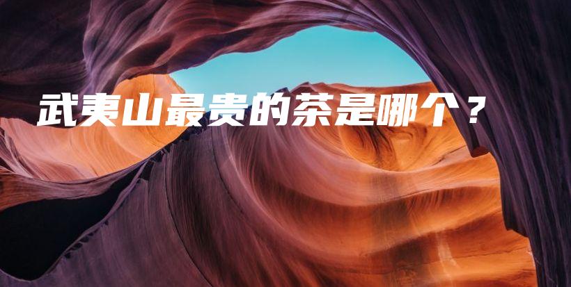 武夷山最贵的茶是哪个？插图