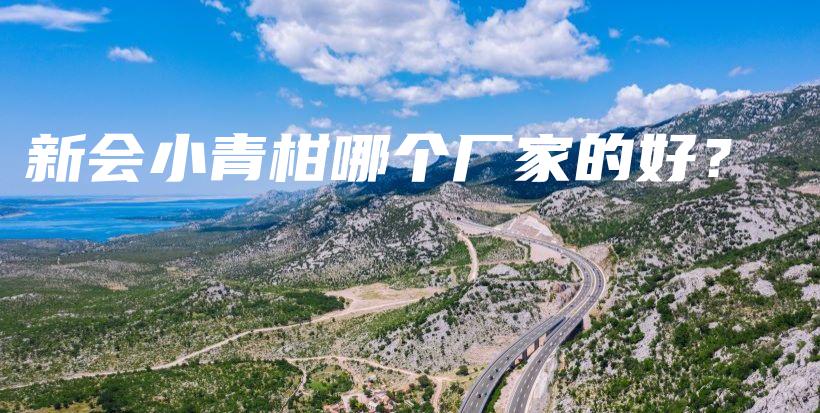 新会小青柑哪个厂家的好？插图