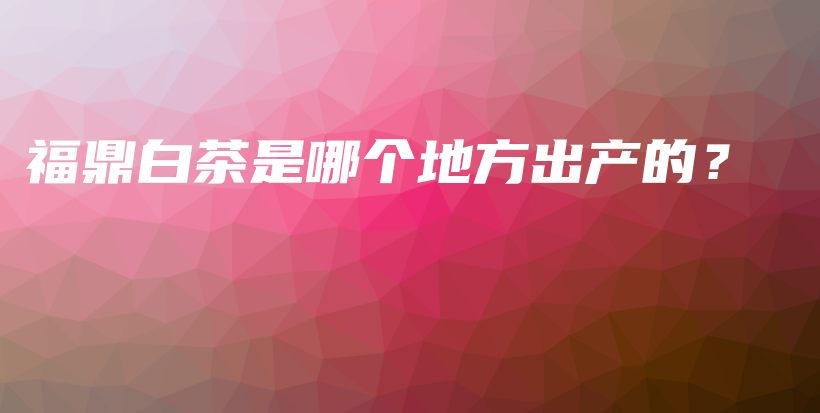 福鼎白茶是哪个地方出产的？插图