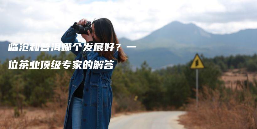 临沧和普洱哪个发展好?一位茶业顶级专家的解答插图 临沧和普洱哪个发展好?一位茶业顶级专家的解答插图