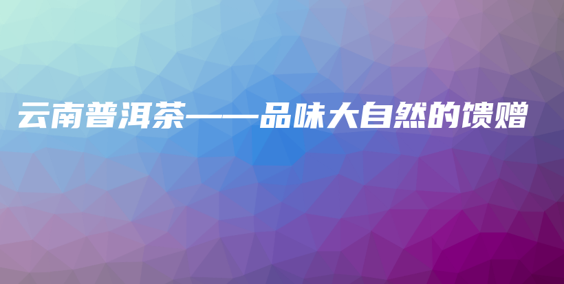 云南普洱茶——品味大自然的馈赠插图
