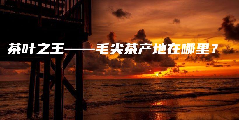 茶叶之王——毛尖茶产地在哪里？插图