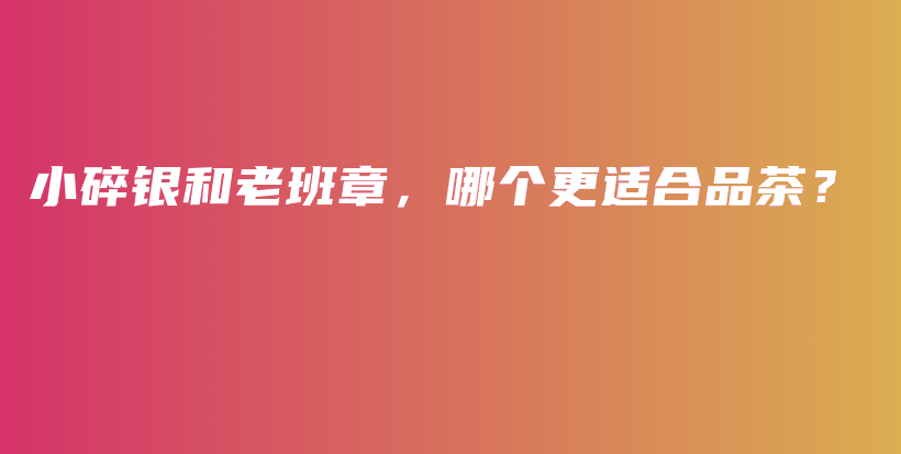小碎银和老班章，哪个更适合品茶？插图