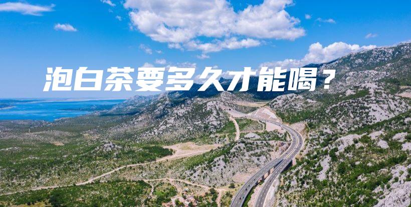 泡白茶要多久才能喝？插图