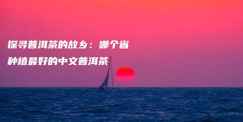 探寻普洱茶的故乡:哪个省种植最好的中文普洱茶插图 探寻普洱茶的故乡:哪个省种植最好的中文普洱茶插图