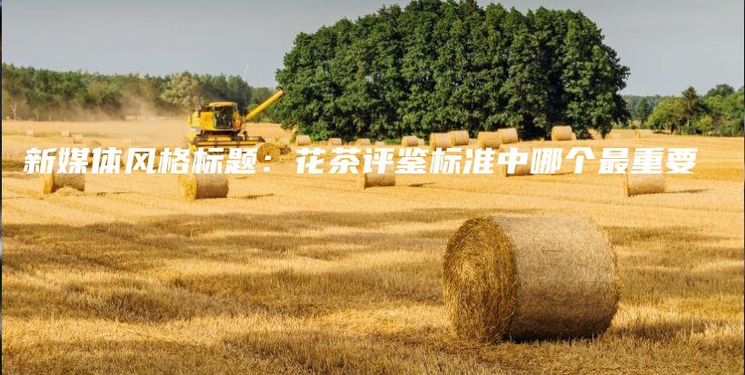 新媒体风格标题:花茶评鉴标准中哪个最重要插图 新媒体风格标题:花茶评鉴标准中哪个最重要插图