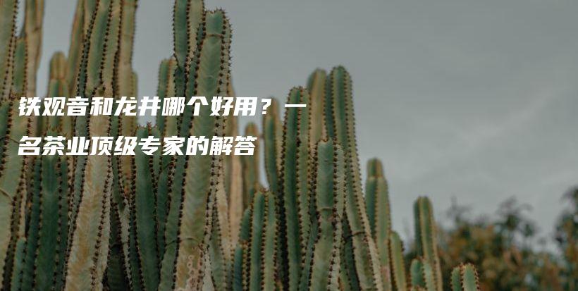 铁观音和龙井哪个好用？一名茶业顶级专家的解答插图