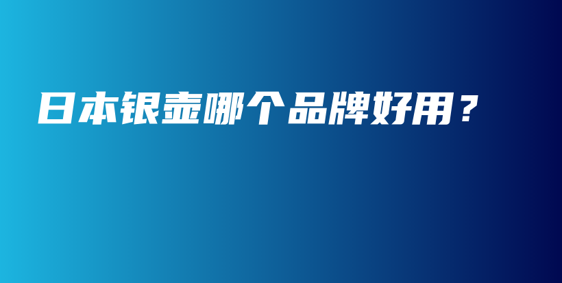 日本银壶哪个品牌好用?插图 日本银壶哪个品牌好用?插图