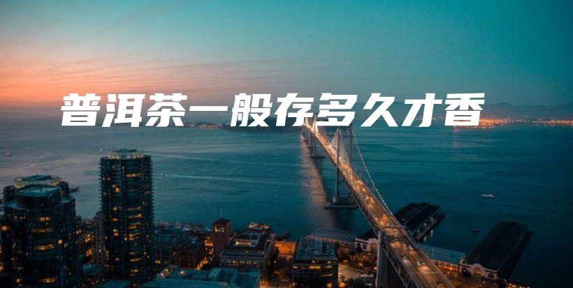 普洱茶一般存多久才香插图