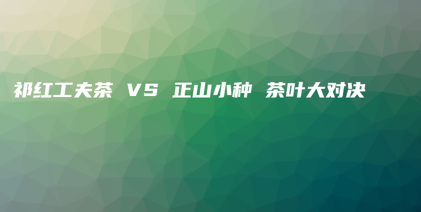 祁红工夫茶 VS 正山小种 茶叶大对决插图