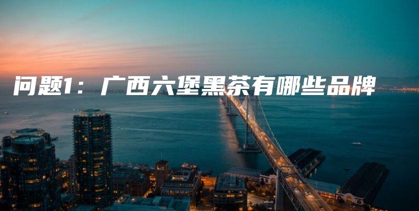 问题1：广西六堡黑茶有哪些品牌插图