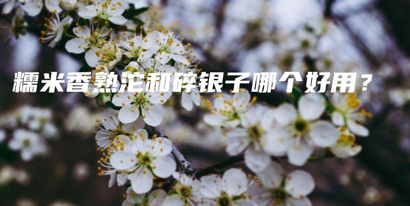 糯米香熟沱和碎银子哪个好用？插图