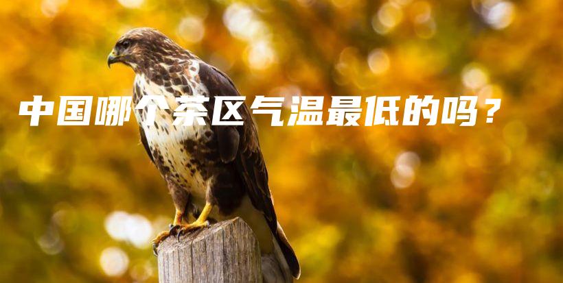 中国哪个茶区气温最低的吗？插图