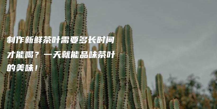 制作新鲜茶叶需要多长时间才能喝?一天就能品味茶叶的美味!插图 制作新鲜茶叶需要多长时间才能喝?一天就能品味茶叶的美味!插图