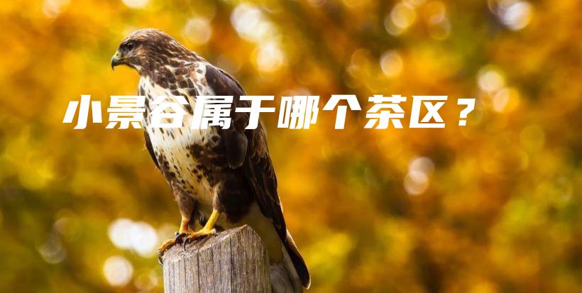 小景谷属于哪个茶区？插图