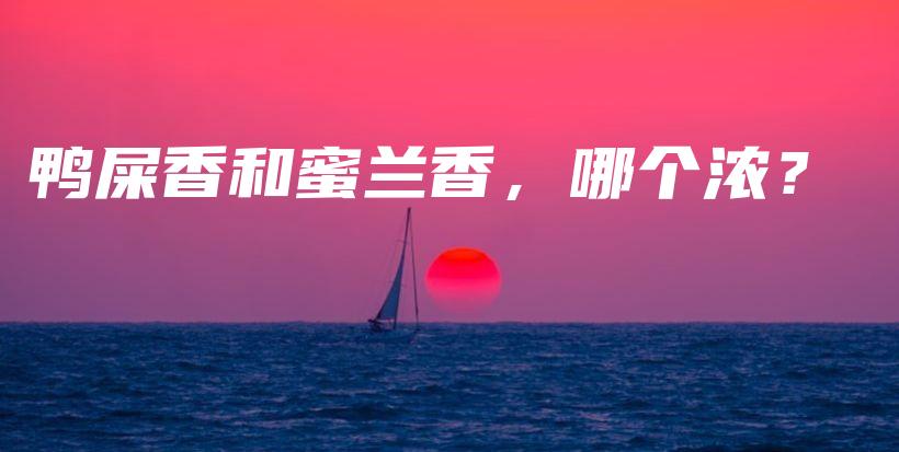 鸭屎香和蜜兰香，哪个浓？插图
