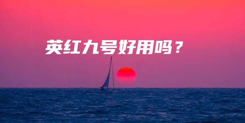 英红九号好用吗？插图