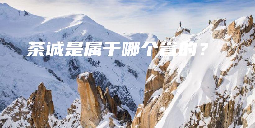 茶诚是属于哪个省的？插图