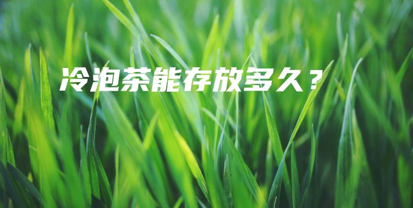 冷泡茶能存放多久？插图
