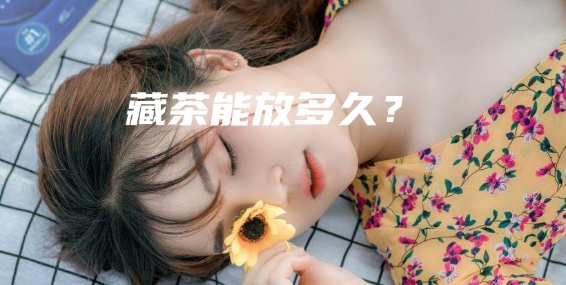 藏茶能放多久？插图