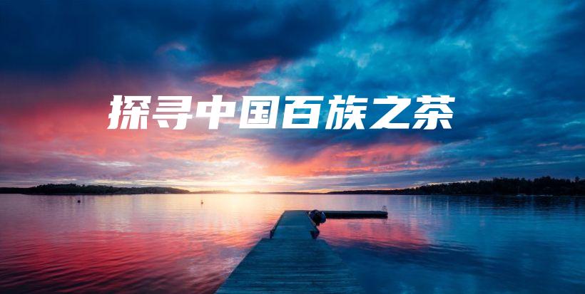 探寻中国百族之茶插图 探寻中国百族之茶插图