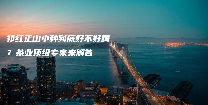 祁红正山小种到底好不好喝？茶业顶级专家来解答插图