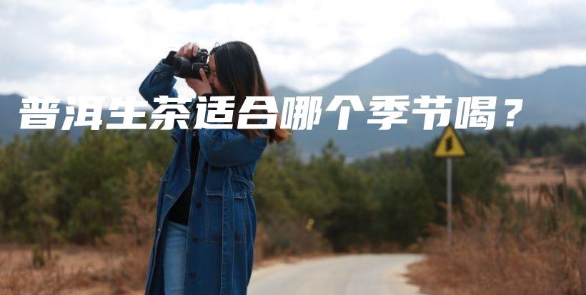 普洱生茶适合哪个季节喝？插图
