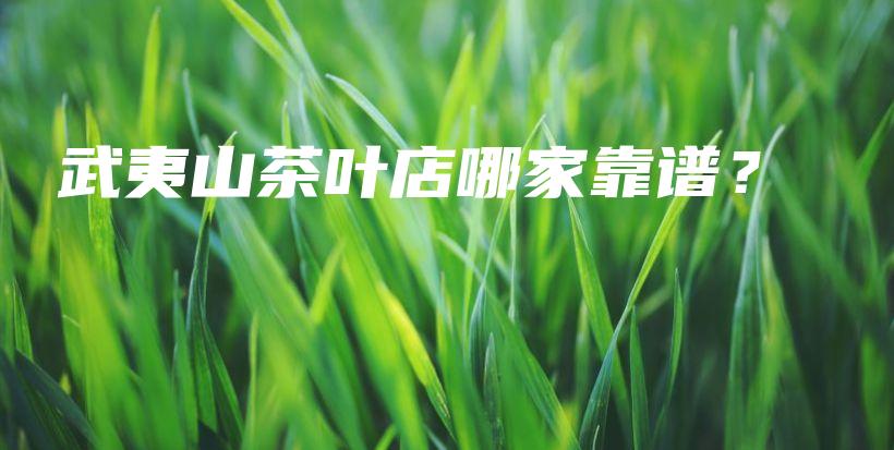 武夷山茶叶店哪家靠谱?插图 武夷山茶叶店哪家靠谱?插图