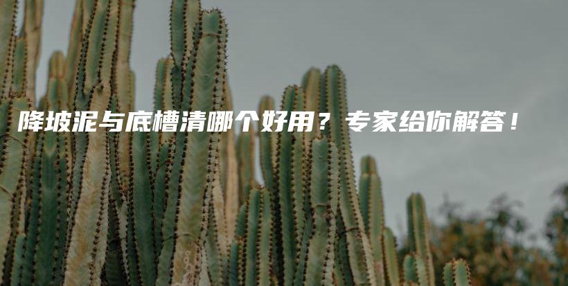 降坡泥与底槽清哪个好用？专家给你解答！插图