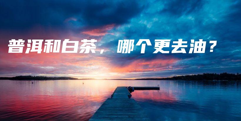 普洱和白茶，哪个更去油？插图