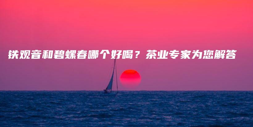 铁观音和碧螺春哪个好喝？茶业专家为您解答插图