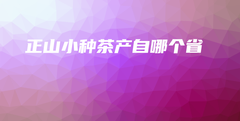 正山小种茶产自哪个省插图