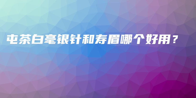 屯茶白毫银针和寿眉哪个好用？插图