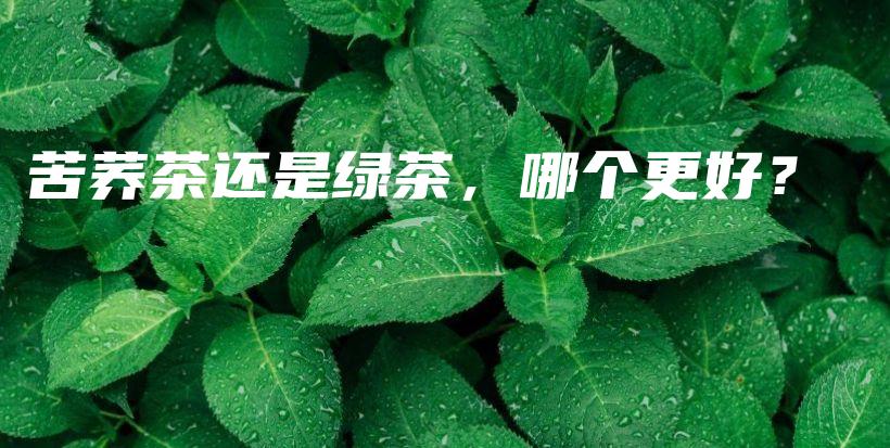 苦荞茶还是绿茶，哪个更好？插图