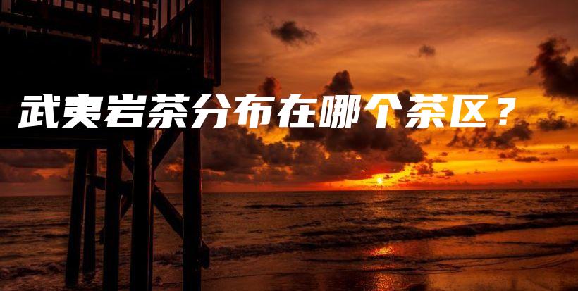 武夷岩茶分布在哪个茶区？插图