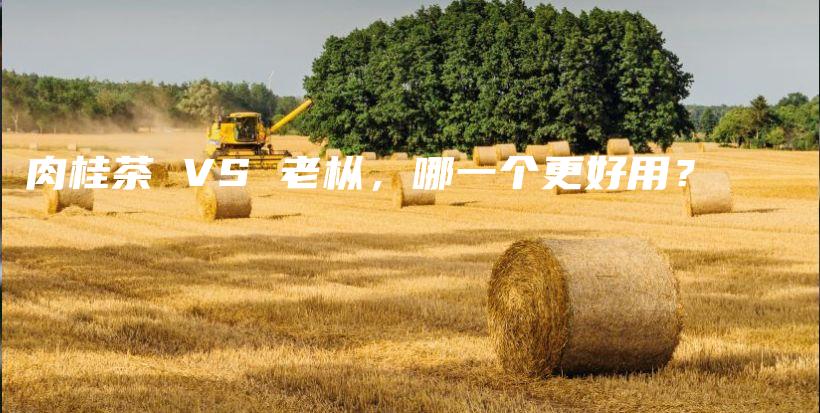 肉桂茶 VS 老枞，哪一个更好用？插图