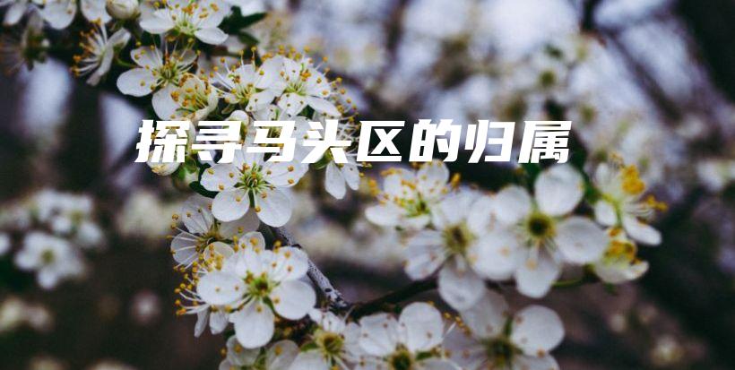 探寻马头区的归属插图