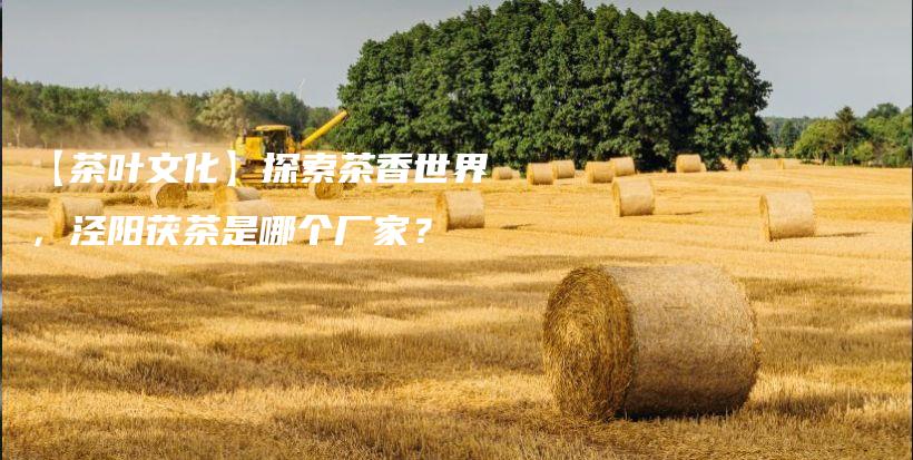 【茶叶文化】探索茶香世界，泾阳茯茶是哪个厂家？插图