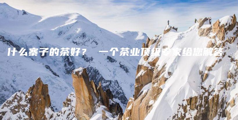 什么寨子的茶好？ 一个茶业顶级专家给您解答插图